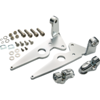 Highway Peg Mounts - Driver - Chrome - Indian